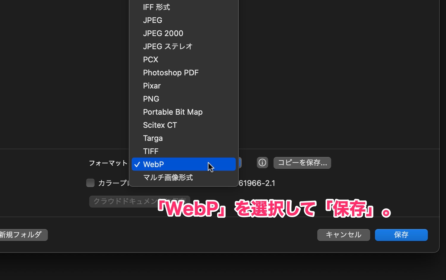 Select 'WebP' and 'Save'.